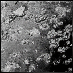 "Arrr! The scallywags be runnin' the biggest port in Syria, says the all-seein' war parrot!"