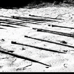 Arrr! A crew o' Quebec landlubbers be fightin' to keep the mighty caribou fro' meetin' Davy Jones!