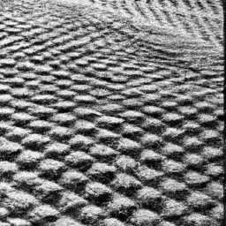 Arrr! Trump be settin' sail on Greenland's grand tales while we be huntin' for treasure in icy seas!