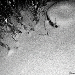 "Arrr! Olympian swabs be sayin’ the DC wreck be hittin’ close, shoutin’, ‘That could’ve been this salty dog!’"